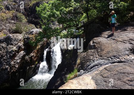 Ready for a swim, Little Millstream Falls, near Ravenshoe, Queensland, Australia. No MR Stock Photo