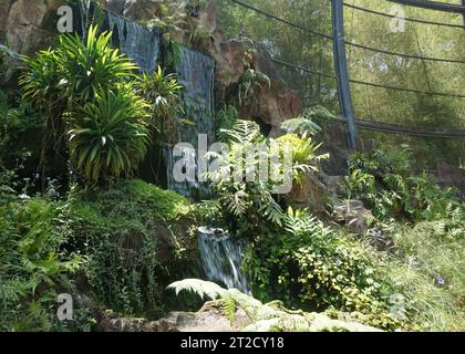 Artificial water fall in a large botanical garden inside the aviary dome Stock Photo