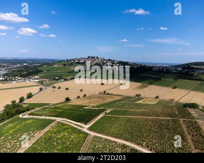 Vineyards of Sancerre appellation, making of dry white wine from sauvignon blanc grape growing on hilly sloped of left bank of Loire river on differen Stock Photo