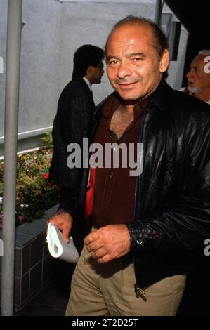 **FILE PHOTO** Burt Young Has Passed Away. Burt Young Circa 1990's. Credit: Ralph Dominguez/MediaPunch Stock Photo