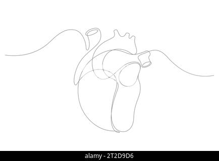 human heart organ one line drawing vector illustration. thin line minimalism. Stock Vector