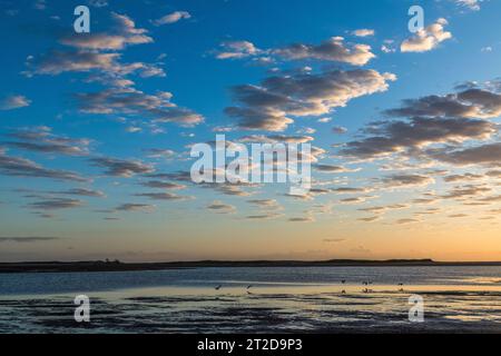 Alva Lynchs Beach, attraction in Queensland, Stock Photo