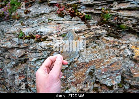 Outcrop of Metamorphic Slate Rock Stock Photo