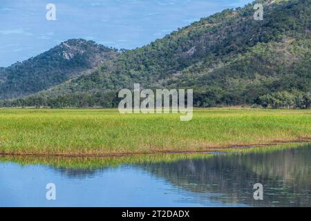 Townsville Town Common Conservation Park, Pallarenda, QLD, Australia Stock Photo