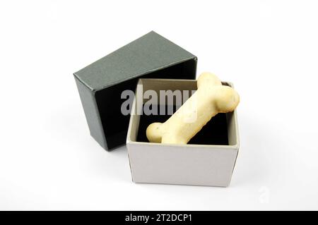 single dog biscuit present in a presentation box on a white background Stock Photo