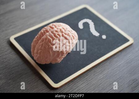 Human brain model on top of a blackboard with a question mark. Knowledge, critical thinking concept. Stock Photo