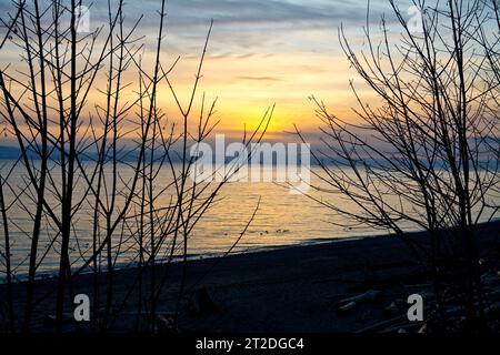 Winter sunset on the waters of Davis Bay on the Sunshine Coast of British Columbia.  Sunset over the water with branch silhouettes. Stock Photo