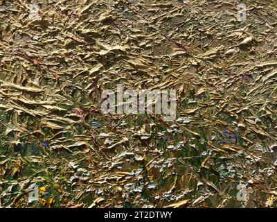 surface covered with decorative plaster with a chaotic pattern, multi-colored spots. Stock Photo