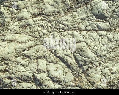 texture. rock formation on the sea. a stone made of sand, a large boulder lies on the beach. stone with cracks and damage, ancient texture. Stock Photo