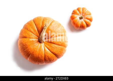Pumpkins isolated on white background, top view. Two organic pumpkin, design element. Stock Photo