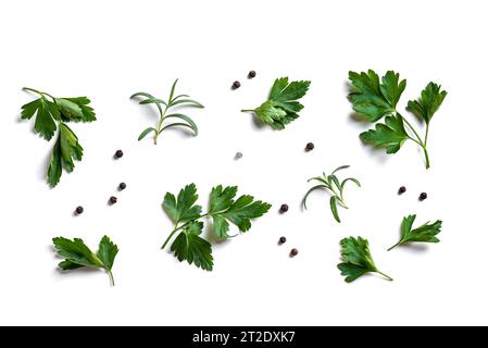 Fresh spices and herbs isolated on white background. Rosemary, parsley, black peppercorn set. Stock Photo