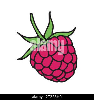 raspberries. White background with raspberry. Vector illustration. Stock Vector