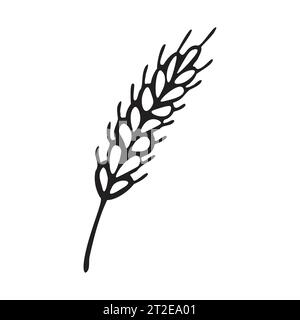 Spikelet  of wheat in doodle style. Simple black and white sketch of wheat, barley or rye stalk for bakery products, flour, package.Vector illustratio Stock Vector