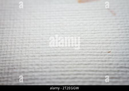 Extreme closeup of white handmade paper with dried plants. Shallow depth of field. Stock Photo