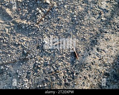 The texture of a gray stone broken, crumbling cement stone floor, walls of old reinforced concrete. The background. Stock Photo