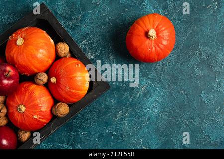 black tray with orange pumpkins and red apples with walnuts on blue textured surface, thanksgiving Stock Photo