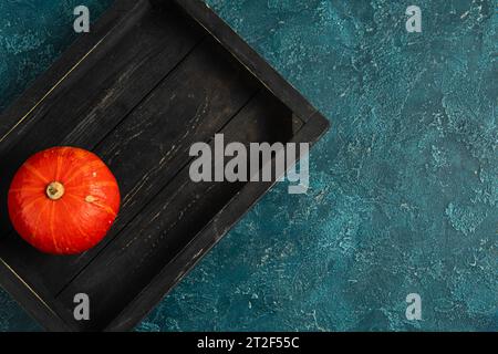 thanksgiving backdrop with ripe orange pumpkin in black wooden tray on blue textured surface Stock Photo