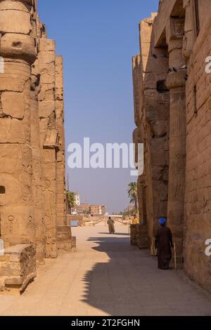 The sculptures of pharaohs and ancient Egyptian drawings on the columns of the Luxor Temple. Egypt Stock Photo