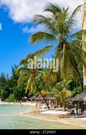 Beach with palm trees Coconut palms (Cocos nocifera) and fixed sunshades Sunshade made of dried palm fronds Palm leaves on the north coast of Stock Photo