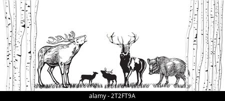 Deer and wild boar on the meadow illustration Stock Vector