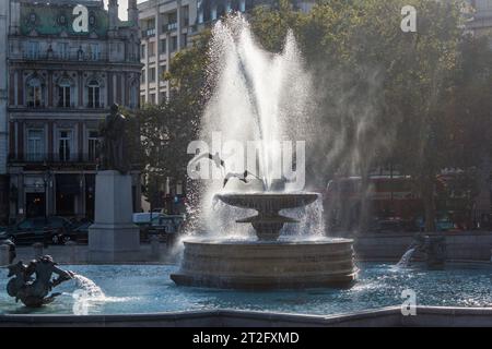 Seagulls flying through the spray from one of the fountains in Trafalgar Square, London, on a windy autumn day (UK) Stock Photo