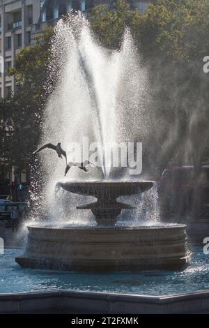 Seagulls flying through the spray from one of the fountains in Trafalgar Square, London, on a windy autumn day (UK) Stock Photo