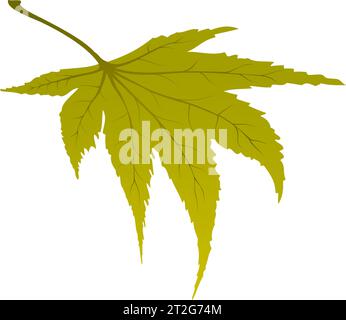 Maple autumn leaf. Element for making fall season designs. Vector illustration. Stock Vector