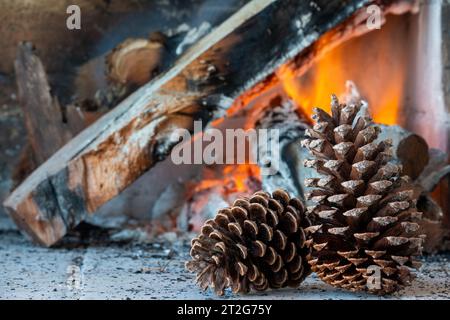 Pine cone on a background of burning firewood. Stock Photo