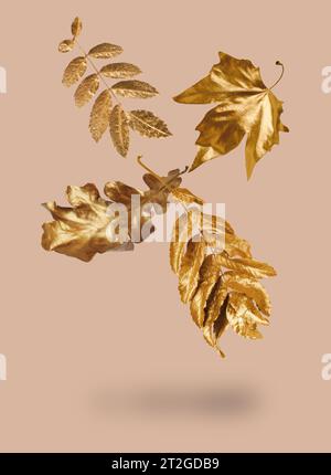 Golden autumn leaves falling on pastel pink background Stock Photo