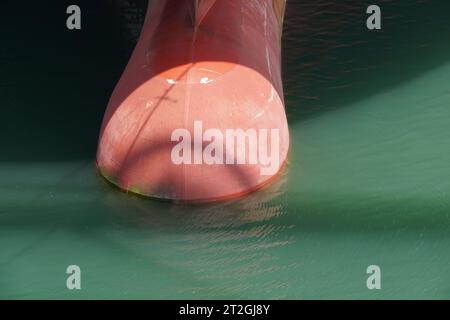 Red bulbous bow of container vessel in detail view, which is half submerged in green colored water. Stock Photo