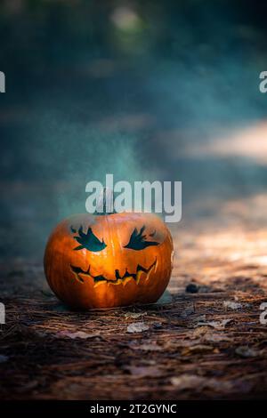 close up of a carved pumpkin for halloween with smoke coming out of the cut outs in a natural spooky forest setting Stock Photo