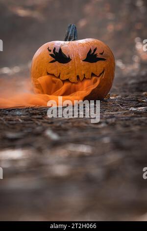 close up of a carved pumpkin for halloween with smoke coming out of the cut outs in a natural spooky forest setting Stock Photo