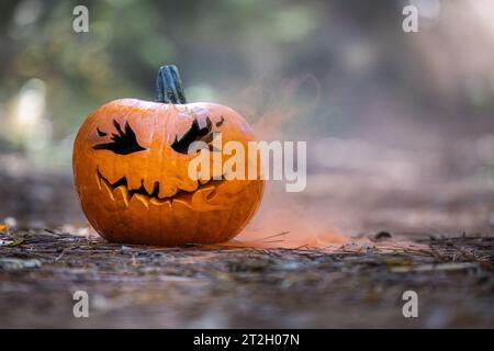 close up of a carved pumpkin for halloween with smoke coming out of the cut outs in a natural spooky forest setting Stock Photo