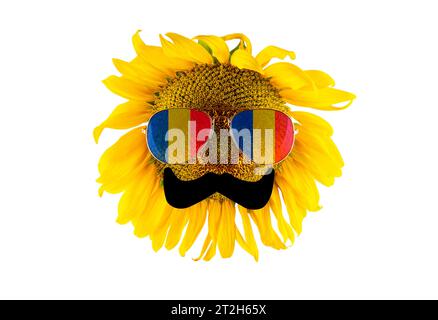 Sunflower with mustache and glasses in the form of the Romanian flag (close-up), isolated on a white background. The largest producer of vegetable oil Stock Photo