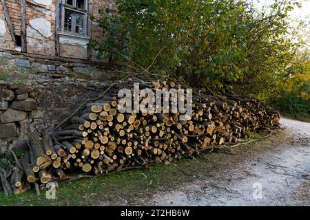 Cut locust wood logs neatly arranged one over the other beside the village road, ready for further distribution to customers on an autumn day Stock Photo