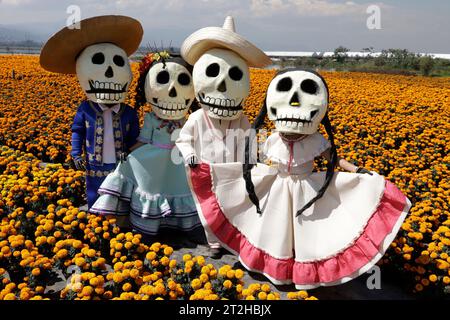 Mexico City, Mexico. 19th Oct, 2023. October 19, 2023, Mexico City, Mexico: People characterized by death in the fields of cempasuchil flowers within the framework of the Day of the Dead festivity in the ejido in San Gregorio Atlapulco in the Xochimilco mayor's office in Mexico City on October 19, 2023 in Mexico City, Mexico (Photo by Luis Barron/Eyepix Group/Sipa USA). Credit: Sipa USA/17�Թ����� Live News Stock Photo