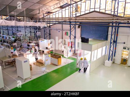 Africa, Tunisia, Bizerte. Assembly line at the Leoni Mateur German car wiring factory in Bizerte. Out of 5000 workers here 80 percent are women. The p Stock Photo