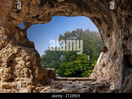 A tree seen through the opening in a cave, Tabun, Israel, at Mount Carmel. Stock Photo