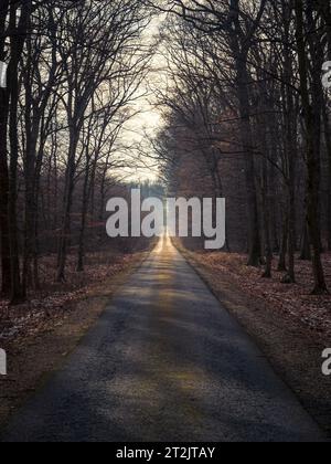 Empty asphalt road going straight Stock Photo - Alamy