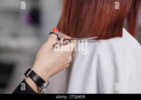 The hairdresser cuts the hair of a brunette woman. Hairstylist is cutting the hair of female client in a professional hair salon, close up Stock Photo