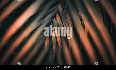 Gold Green Palm Leaf Background. Nature Background. Macro Photography. Closeup Stock Photo
