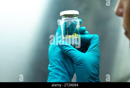 Plant Tissue Culture for Agricultural Research Stock Photo