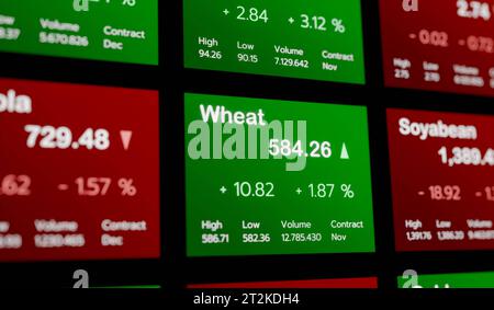 Wheat trading. Commodity monitor with price information. Wheat and soybean trading. Wheat price moving up. Commodity monitor with price information. Agriculture, raw food, global market, business. commodity060s05 monitor price information Credit: Imago/17�Թ����� Live News Stock Photo