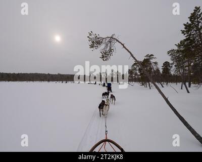 Dog sled in a foggy day in a frozen lake in Finland Stock Photo