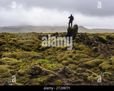 Traveler on a field of moss in south Iceland Stock Photo