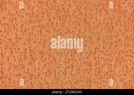 Rusty metal plate, Bavaria, Germany Stock Photo