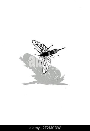 Paper cut of insects Stock Photo - Alamy