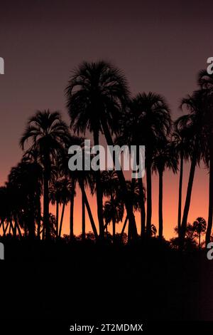 Beautiful sunset at El palmar, Entre Rios Stock Photo