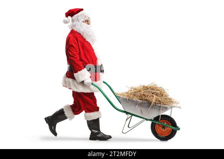 Santa claus walking and pushing hay in a wheelbarrow isolated on white background Stock Photo