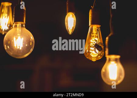 Spider on a dusty retro spiral light bulb. Halloween Stock Photo